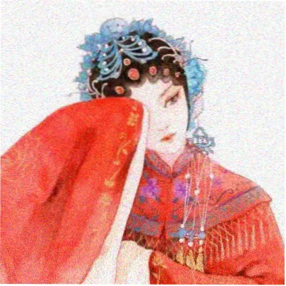 观众灰鸽子的头像